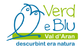 Verd e Blu